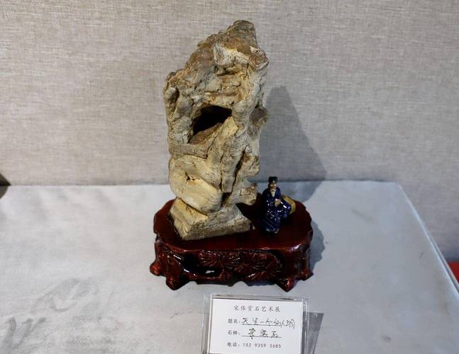 武山县书画奇石艺术交流暨展览活动开展